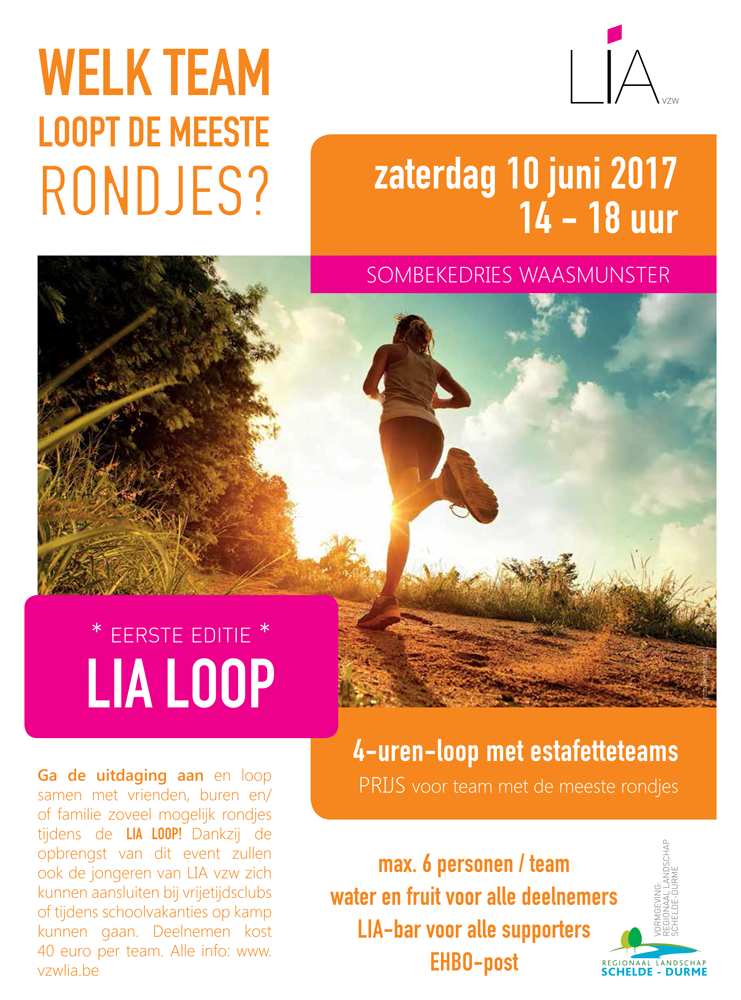 Flyer_LIA-loop